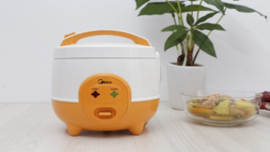 Mua nồi cơm điện mini cần quan tâm những tiêu chí gì nhất (ngoài giá)?