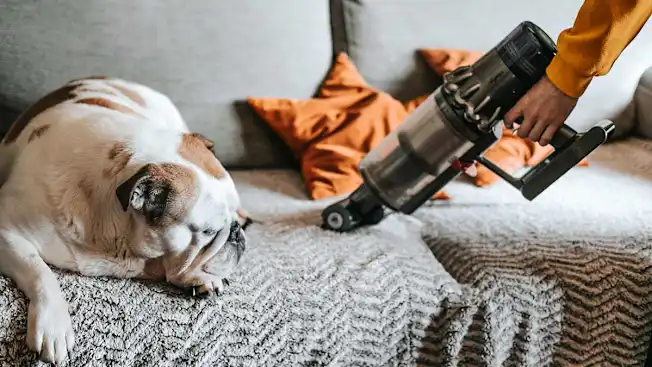 12 cách giảm ô nhiễm không khí trong nhà