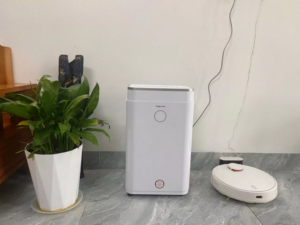 Đừng Nhầm Lẫn: Điều Hòa Chế Độ Dry Không Cứu Nổi Mùa Nồm